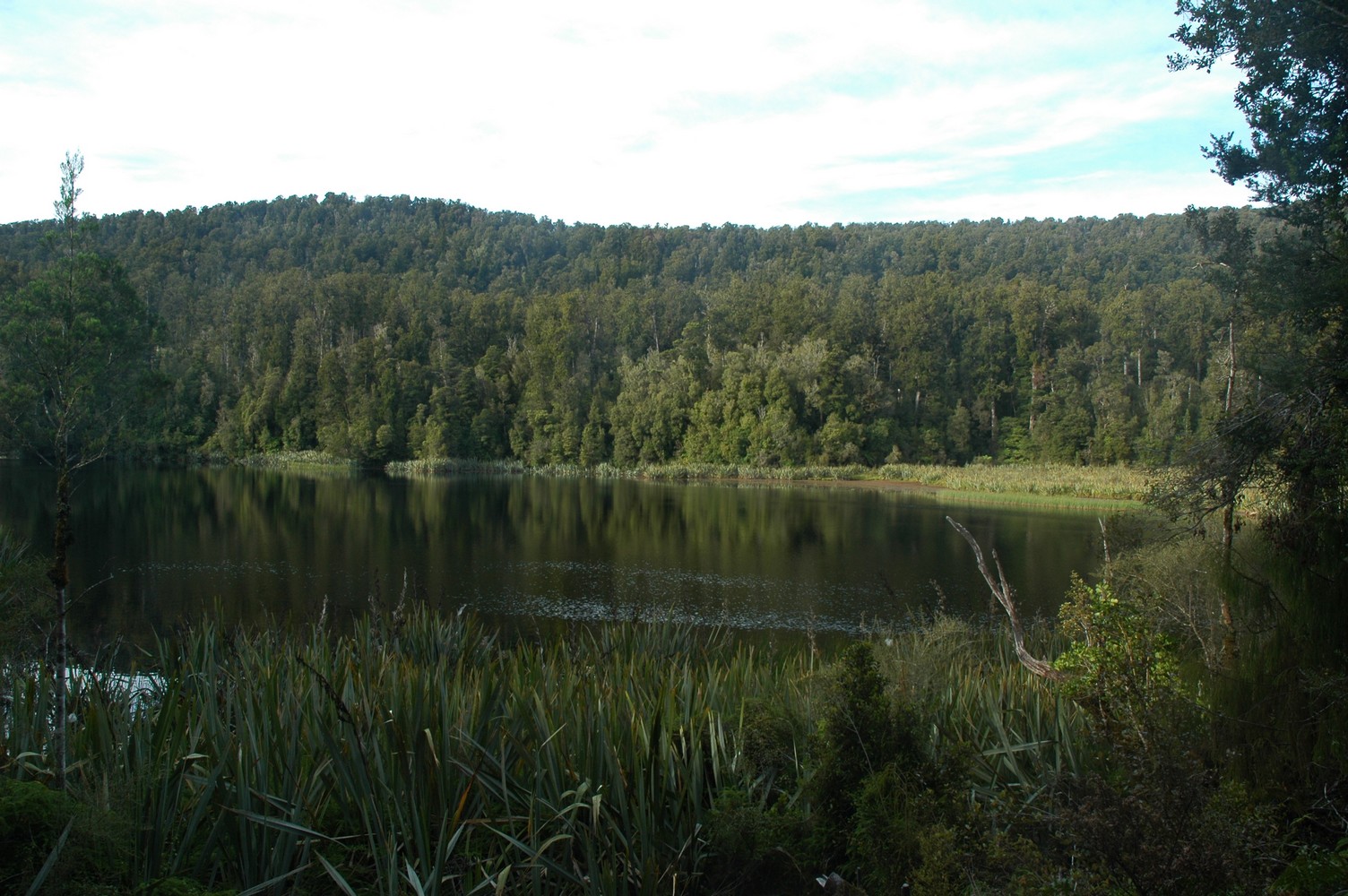 129   24 01   Greymouth   Fox Glacier
